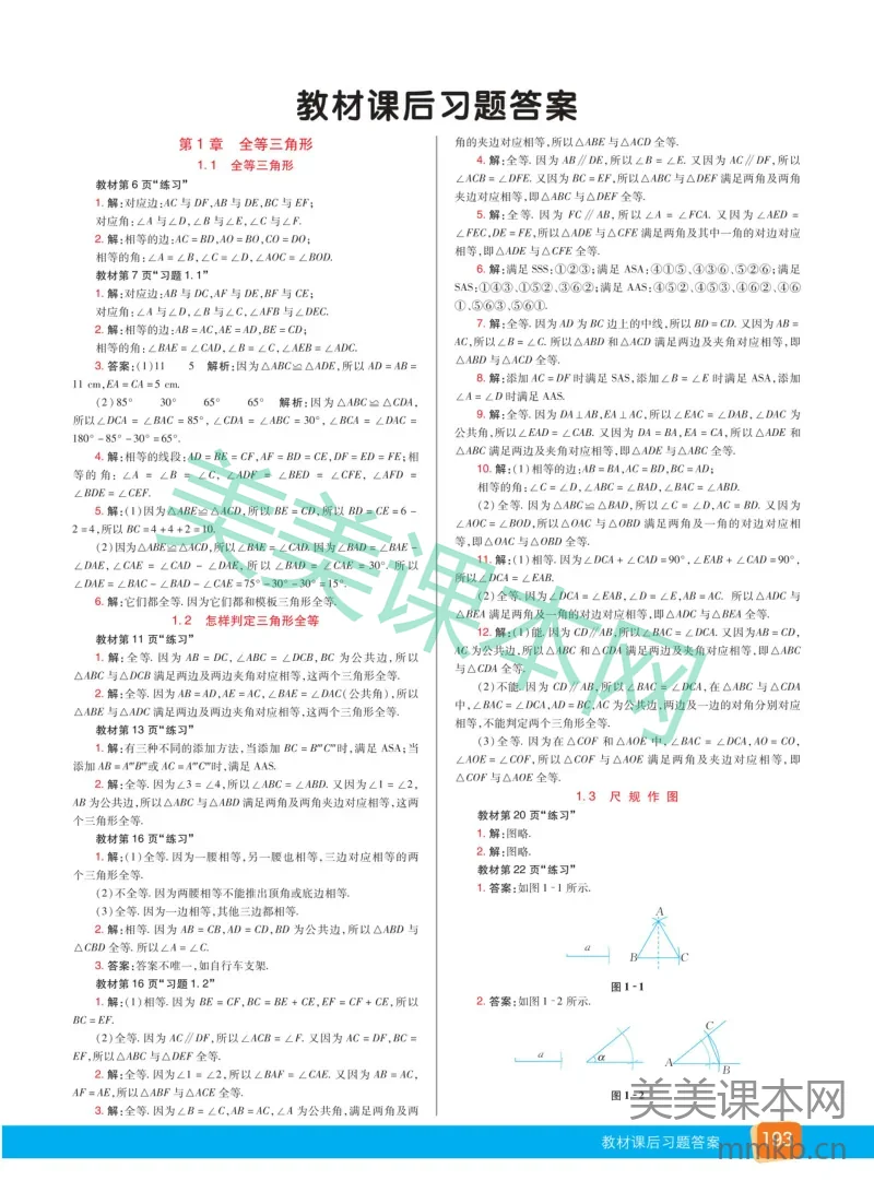 参考答案 数学青岛版8a