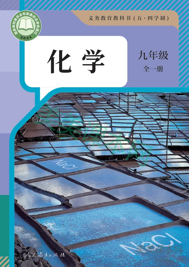 人教版（五•四学制）·化学九年级全一册