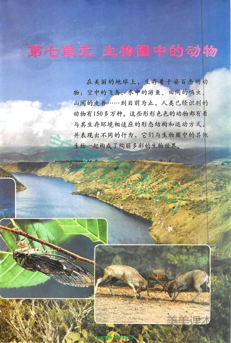 八年级上册生物鲁科版电子课本