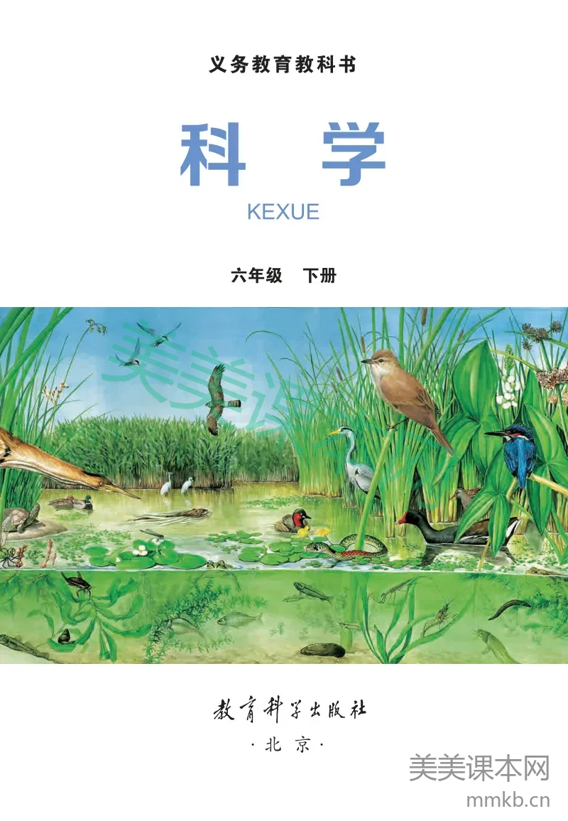 六年级下册科学教科版电子课本