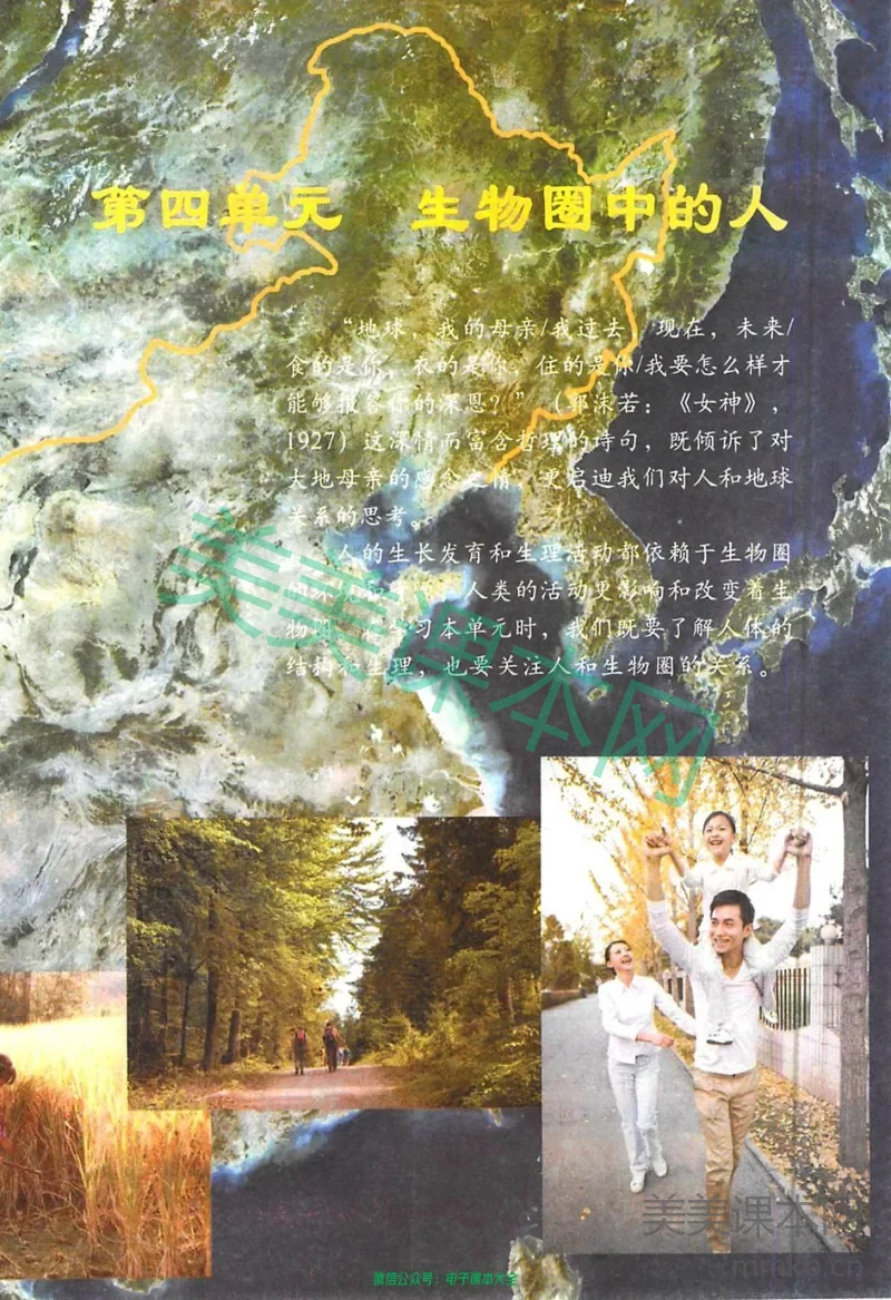 七年级上册生物鲁科版电子课本