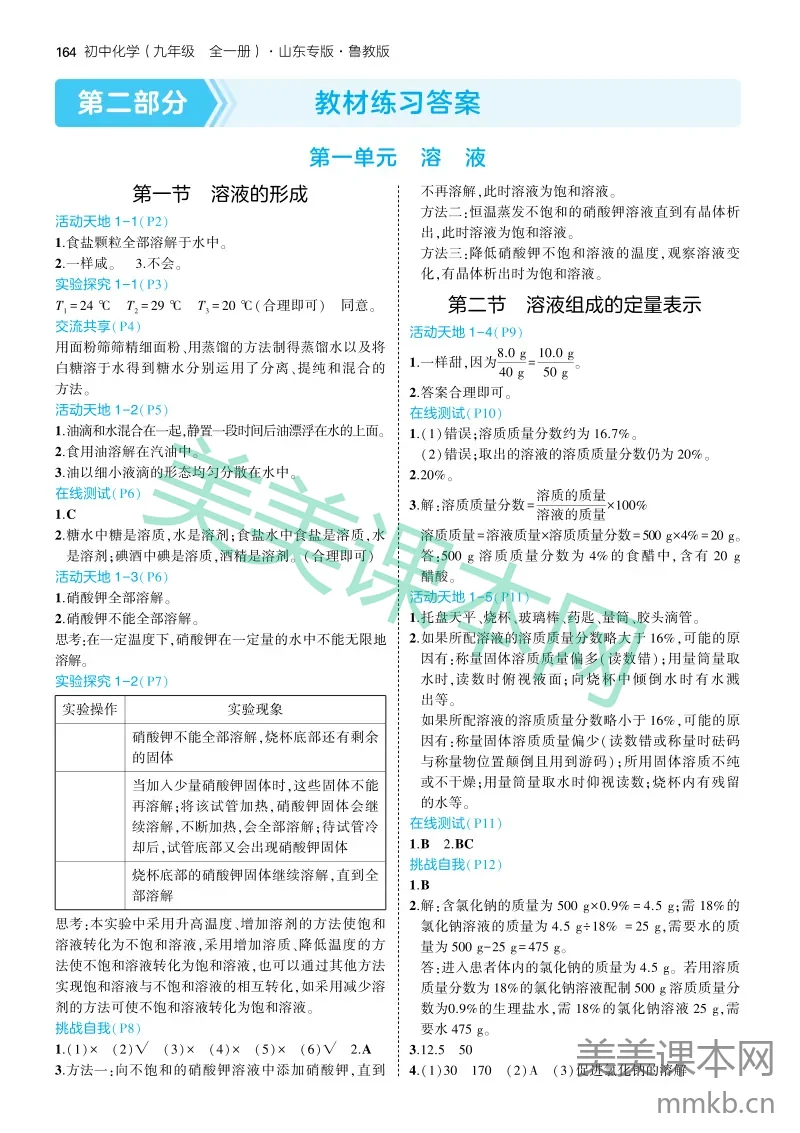 25版初中同步九全五四制鲁教化学答案