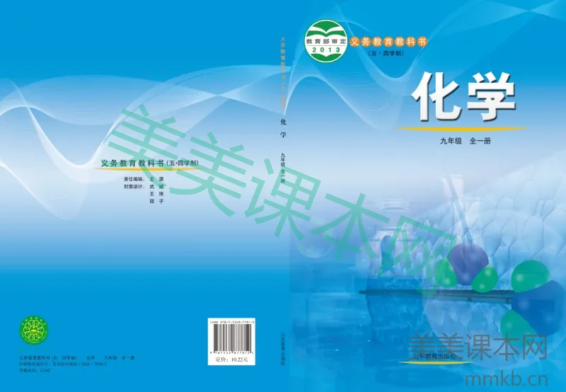 鲁教版(五•四学制)·化学九年级全一册
