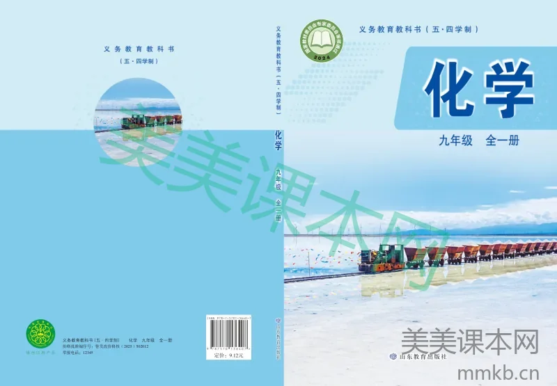 鲁教版（五•四学制）•化学九年级全一册